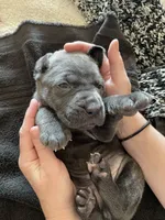 processed/a3eb0d7f-b4ea-470c-b483-df08128e6197/facility/687cd8fb-6348-4186-bf0d-f7574204520d