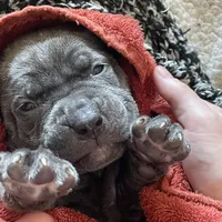 processed/a3eb0d7f-b4ea-470c-b483-df08128e6197/facility/7bd680cc-6a96-48b8-9cd2-8b71877a4a6b