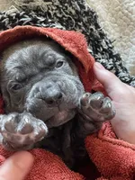 processed/a3eb0d7f-b4ea-470c-b483-df08128e6197/facility/7bd680cc-6a96-48b8-9cd2-8b71877a4a6b