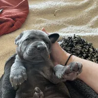 processed/a3eb0d7f-b4ea-470c-b483-df08128e6197/facility/df7f6359-e280-4314-92dc-d5bc6595ca73