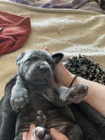 processed/a3eb0d7f-b4ea-470c-b483-df08128e6197/facility/df7f6359-e280-4314-92dc-d5bc6595ca73