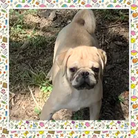 processed/a3f1f730-99d2-40d1-acec-c5a714f04abb/facility/f15c2d0e-e942-4ba1-931c-bbb7ae692046