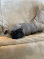 processed/a3f1f730-99d2-40d1-acec-c5a714f04abb/listing/20ebc245-2f02-46ca-8dbc-d0f8a474d312/023f391a-a209-4ac4-8cbd-fbf3080ebbb5