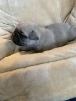 processed/a3f1f730-99d2-40d1-acec-c5a714f04abb/listing/20ebc245-2f02-46ca-8dbc-d0f8a474d312/1e490e3d-603e-44a0-81bd-b06487b6d55b