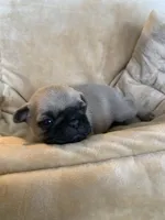 processed/a3f1f730-99d2-40d1-acec-c5a714f04abb/listing/20ebc245-2f02-46ca-8dbc-d0f8a474d312/59e4bad6-d967-4f5f-a13b-52e0f58adc69