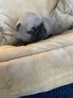 processed/a3f1f730-99d2-40d1-acec-c5a714f04abb/listing/20ebc245-2f02-46ca-8dbc-d0f8a474d312/661834d3-92b0-489c-9787-506ff4d8b8f0