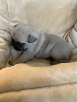 processed/a3f1f730-99d2-40d1-acec-c5a714f04abb/listing/20ebc245-2f02-46ca-8dbc-d0f8a474d312/db6b0568-a5e4-419c-ae62-8d02913c2784