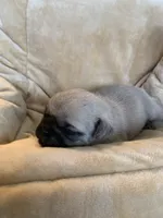 processed/a3f1f730-99d2-40d1-acec-c5a714f04abb/listing/20ebc245-2f02-46ca-8dbc-d0f8a474d312/e3a1a937-dfae-4483-a7d8-f3c9b901c241