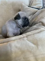 processed/a3f1f730-99d2-40d1-acec-c5a714f04abb/listing/685a66ee-9ebf-4fec-9f0a-1c3cd820992b/04ed49b8-1320-465f-bda1-87f4f4753995