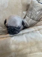 processed/a3f1f730-99d2-40d1-acec-c5a714f04abb/listing/685a66ee-9ebf-4fec-9f0a-1c3cd820992b/23ae690b-4927-4d6a-8a03-9588bbfdfa40