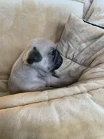 processed/a3f1f730-99d2-40d1-acec-c5a714f04abb/listing/685a66ee-9ebf-4fec-9f0a-1c3cd820992b/274a03aa-dcd2-454a-a498-74dbaedbbf6d