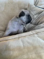 processed/a3f1f730-99d2-40d1-acec-c5a714f04abb/listing/685a66ee-9ebf-4fec-9f0a-1c3cd820992b/6314c079-fddf-477b-9bc8-3fde6a5a7226