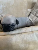 processed/a3f1f730-99d2-40d1-acec-c5a714f04abb/listing/685a66ee-9ebf-4fec-9f0a-1c3cd820992b/7ddb19da-e39b-4bb8-a611-bec436a6cf77