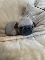 processed/a3f1f730-99d2-40d1-acec-c5a714f04abb/listing/685a66ee-9ebf-4fec-9f0a-1c3cd820992b/8878e49a-f3c2-4382-8314-429f604ca6fd