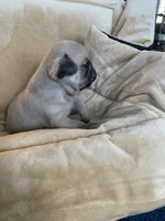 processed/a3f1f730-99d2-40d1-acec-c5a714f04abb/listing/685a66ee-9ebf-4fec-9f0a-1c3cd820992b/8f60c73a-e1f0-463e-80e1-6a0f8be14634