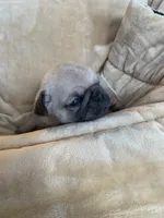 processed/a3f1f730-99d2-40d1-acec-c5a714f04abb/listing/685a66ee-9ebf-4fec-9f0a-1c3cd820992b/9a712635-f291-4ed5-bb8e-988a815a88a8