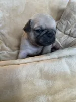 processed/a3f1f730-99d2-40d1-acec-c5a714f04abb/listing/685a66ee-9ebf-4fec-9f0a-1c3cd820992b/a57e484a-b1a1-4cd8-8f19-398de456db2a