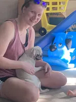 Ace, a male Pug for sale in Schulenburg, TX – 9 of 9