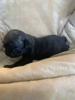 processed/a3f1f730-99d2-40d1-acec-c5a714f04abb/listing/a056e6ae-df9f-4d86-b744-a84194658dfe/3611e853-da55-4e2c-beef-2d4b1b403cec