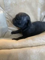 processed/a3f1f730-99d2-40d1-acec-c5a714f04abb/listing/a056e6ae-df9f-4d86-b744-a84194658dfe/75e78cc3-5dae-4ff0-ab33-6d1aee8a30cd