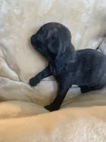 processed/a3f1f730-99d2-40d1-acec-c5a714f04abb/listing/a056e6ae-df9f-4d86-b744-a84194658dfe/b403673a-1c86-4293-97d4-ca3a5b677fb8