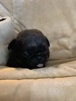 processed/a3f1f730-99d2-40d1-acec-c5a714f04abb/listing/a056e6ae-df9f-4d86-b744-a84194658dfe/b4d3ee15-b1d5-49cd-93b3-7b156af7ccf1