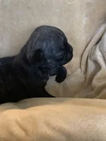 processed/a3f1f730-99d2-40d1-acec-c5a714f04abb/listing/a056e6ae-df9f-4d86-b744-a84194658dfe/c1e96bea-fb90-4203-be5c-37c0e9a4e0b4