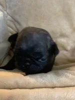 processed/a3f1f730-99d2-40d1-acec-c5a714f04abb/listing/a056e6ae-df9f-4d86-b744-a84194658dfe/ccf22876-34e3-4c97-89b1-c9e763356cb0