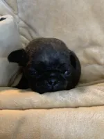 processed/a3f1f730-99d2-40d1-acec-c5a714f04abb/listing/a056e6ae-df9f-4d86-b744-a84194658dfe/d0c14282-ba70-459b-ab02-78d596cf5b34