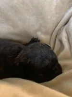 processed/a3f1f730-99d2-40d1-acec-c5a714f04abb/listing/a056e6ae-df9f-4d86-b744-a84194658dfe/f93ac49b-9c39-421d-9dff-451da9798097