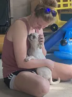 Ace, a male Pug for sale in Schulenburg, TX – 6 of 9