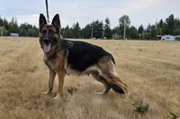 processed/a3f31a4c-caae-4994-9ac6-7ce0a82e0493/facility/f17b88cf-508e-4a07-b106-3ad8813484d6