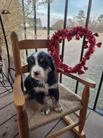 processed/a3fe25e2-cf16-4dd5-8c33-5ce8c08c7213/listing/aef6831f-01dd-4d53-bb6a-8501a56bf40d/ceec189c-f7ac-4c40-a4ea-4c8d392746b3