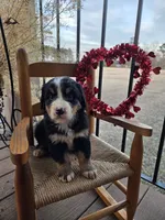 processed/a3fe25e2-cf16-4dd5-8c33-5ce8c08c7213/listing/aef6831f-01dd-4d53-bb6a-8501a56bf40d/d617d385-149a-406f-b99f-58e2a87a16c4