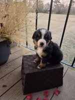 processed/a3fe25e2-cf16-4dd5-8c33-5ce8c08c7213/listing/e65ec98f-99d2-4a62-8a7e-3278ea564383/fe8d8c05-0618-498b-a47b-81d3932ecebe