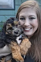 Takis, a female Miniature Bernedoodle and Miniature Aussiedoodle for sale in Seattle, WA – 1 of 10