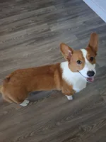 processed/a403d32f-8c11-465e-be59-c4f586a3b58d/listing/7ae66a48-1a9b-4d33-8f4a-e2121b12e7af/2712d832-71fe-407f-b485-4cf623985aba