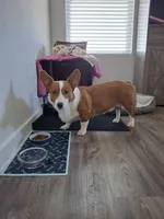 processed/a403d32f-8c11-465e-be59-c4f586a3b58d/listing/7ae66a48-1a9b-4d33-8f4a-e2121b12e7af/686084cf-48ba-4dd4-b673-13171e71817e