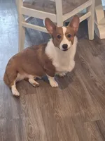 processed/a403d32f-8c11-465e-be59-c4f586a3b58d/listing/7ae66a48-1a9b-4d33-8f4a-e2121b12e7af/6862209b-1a09-44a5-a04a-006454341c8f