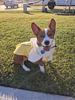 processed/a403d32f-8c11-465e-be59-c4f586a3b58d/listing/7ae66a48-1a9b-4d33-8f4a-e2121b12e7af/74140561-37d3-4ddd-ba34-b78c4304e8dc