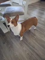 processed/a403d32f-8c11-465e-be59-c4f586a3b58d/listing/7ae66a48-1a9b-4d33-8f4a-e2121b12e7af/a6df562e-b194-470d-bd4d-35d3c22997fc