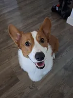 processed/a403d32f-8c11-465e-be59-c4f586a3b58d/listing/7ae66a48-1a9b-4d33-8f4a-e2121b12e7af/bf28cd79-6eb4-4322-b904-ab85fa3f6b10