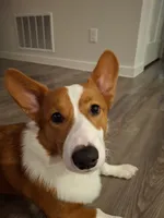 processed/a403d32f-8c11-465e-be59-c4f586a3b58d/listing/7ae66a48-1a9b-4d33-8f4a-e2121b12e7af/e75f6dc2-0f6e-4de6-b998-44acf1678229