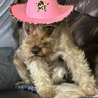 processed/a42386a3-90d1-4fb9-9c5e-257e923d7411/facility/2aec9993-f621-4199-8b78-3f801b4853f3