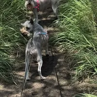 processed/a42386a3-90d1-4fb9-9c5e-257e923d7411/facility/35c61913-fbeb-43d9-8681-d86fefd908be