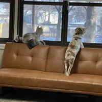 processed/a42386a3-90d1-4fb9-9c5e-257e923d7411/facility/794527b8-d468-4f89-94f5-5b461c7815d3