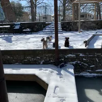 processed/a42386a3-90d1-4fb9-9c5e-257e923d7411/facility/7b4b901c-508b-4ae0-8907-4b5d00078cfc