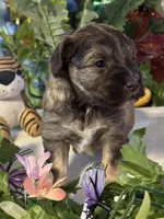 processed/a42386a3-90d1-4fb9-9c5e-257e923d7411/listing/59bb4502-f1b6-4cff-b62e-17cae5ef2f58/2f68a021-5f5e-44ad-8ee7-9bf2e520a041