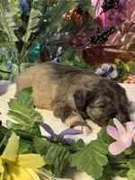 processed/a42386a3-90d1-4fb9-9c5e-257e923d7411/listing/59bb4502-f1b6-4cff-b62e-17cae5ef2f58/679e98fb-3f7f-465f-893b-1a10b169f544