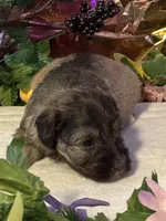 processed/a42386a3-90d1-4fb9-9c5e-257e923d7411/listing/59bb4502-f1b6-4cff-b62e-17cae5ef2f58/83a9cc36-ed36-45d8-a39f-63d1a47904be